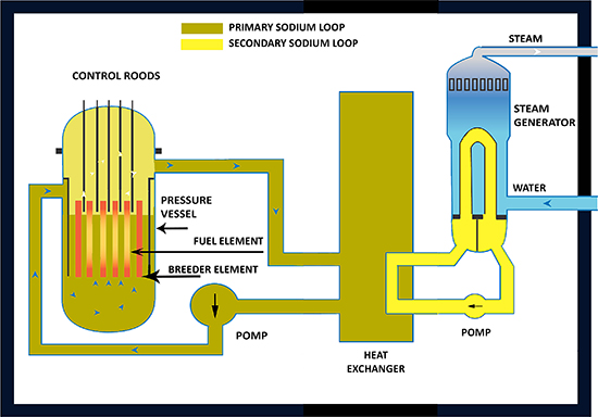 Resultat d'imatges de reactor fbr